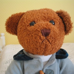 ALCAÑIZ pixabay teddy-bear-82005_1280 cut